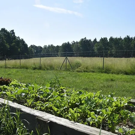Nowa Kamienica 11 Agroturismo Stara Kamienica