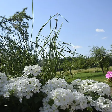 Farm stay Nowa Kamienica 11