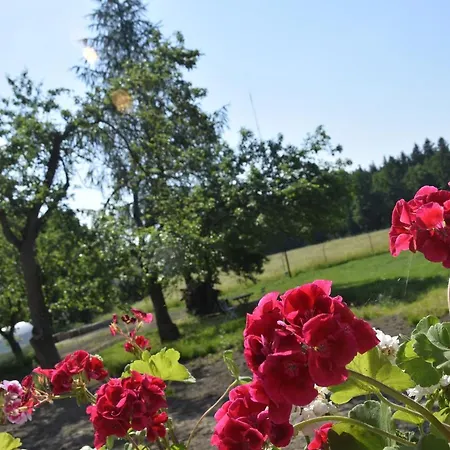 Nowa Kamienica 11 Alloggio per agriturismo *