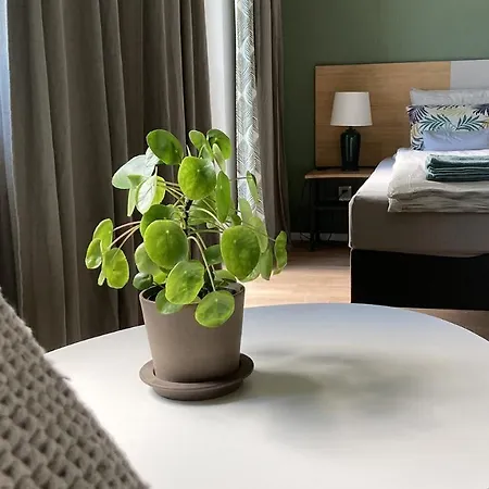 Nowa Kamienica 11 Stara Kamienica