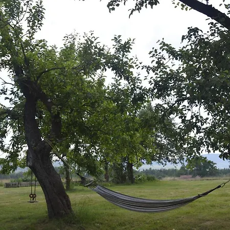 Farm stay Nowa Kamienica 11