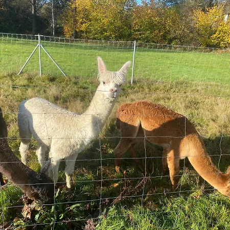 Nowa Kamienica 11 * Stara Kamienica