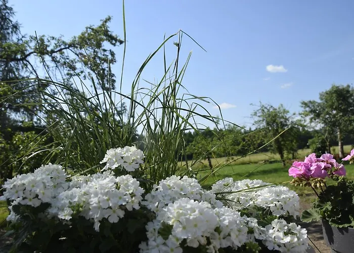 Alloggio per agriturismo Nowa Kamienica 11