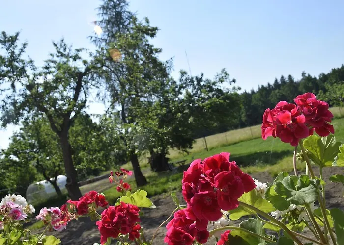 Nowa Kamienica 11 Alloggio per agriturismo *