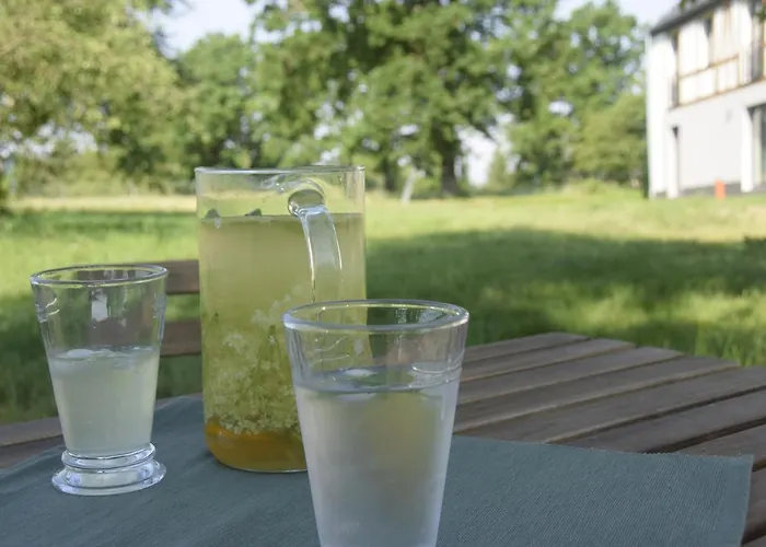 Alloggio per agriturismo Nowa Kamienica 11 Stara Kamienica