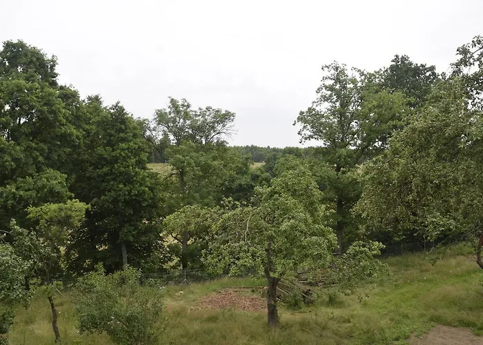 Gospodarstwo agroturystyczne Nowa Kamienica 11