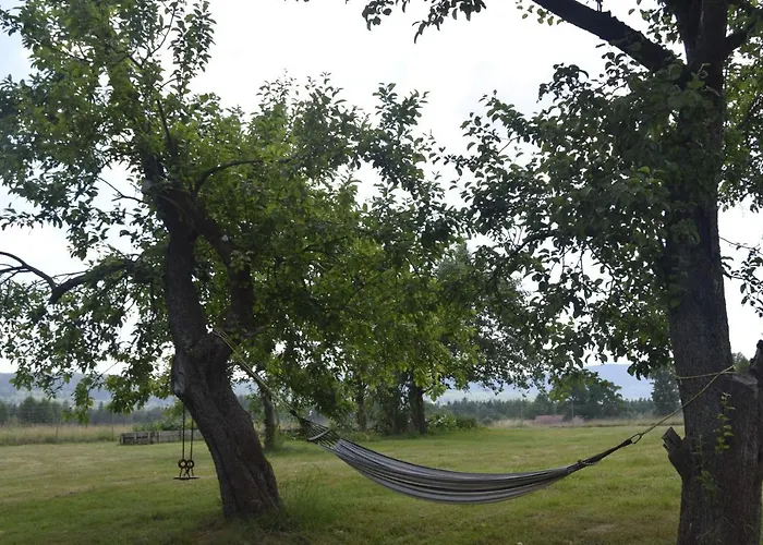 Gospodarstwo agroturystyczne Nowa Kamienica 11