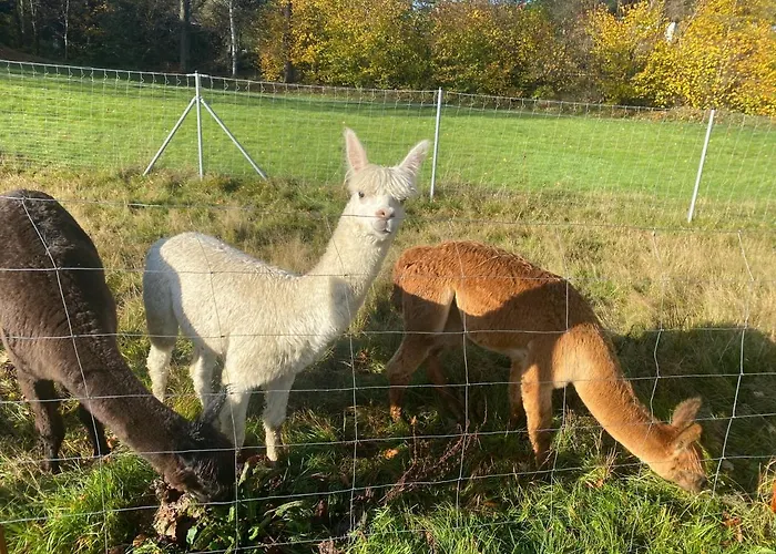 Nowa Kamienica 11 * Stara Kamienica